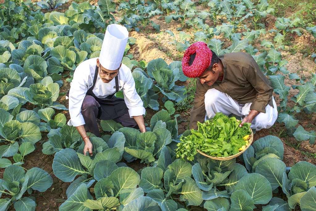 Hotel Amanbagh Ajabgarh Einrichtungen foto